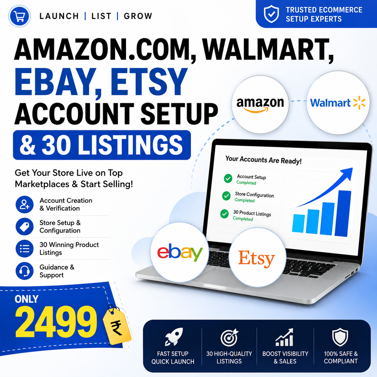 Global Amazon.com, Walmart, eBay & Etsy Seller Account Setup + 30 SEO-Optimized Product Listings | Complete Marketplace Launch Service